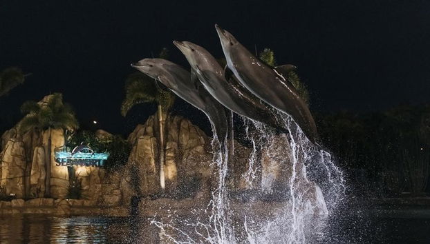 Entrada a todos los parques de Village Roadshow por 5 días - Foto 3