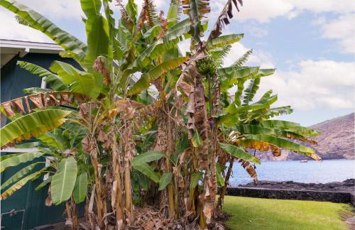 Manini Beach Breath Taker - Foto 22