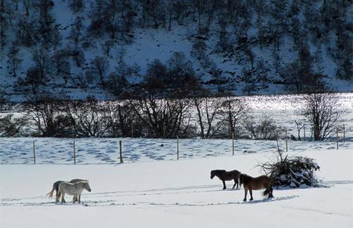 1 Bed in Alness oc-ca232 - Foto 19