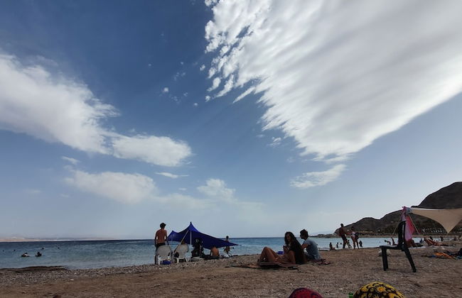 Melony Apartment - Foto 3