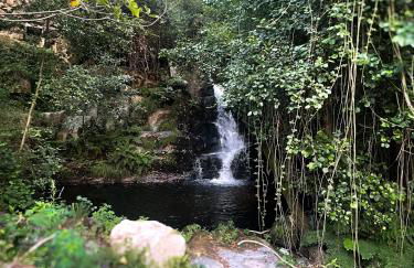 Nascente home place in nature next to a waterfall - Foto 27