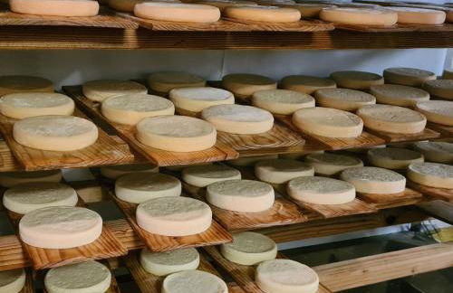 Ferienhof "Alpe Berg" - Photo 28