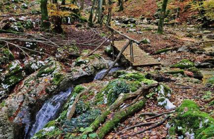 Villa Bella Vista near Ucka Nature Park - Foto 30