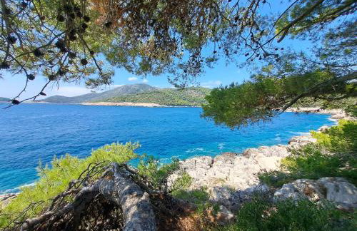 Apartments Franić - Photo 3