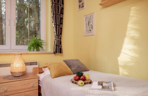 Masuria Warsaw Family - dom na wyłączność - w lesie i przy rzece - 15 min od Warszawy - idealny dla rodzin z dziećmi - Foto 34