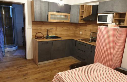 Vila Ema-kuća za odmor - Foto 6