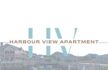 Harbour view apartment - Foto 28