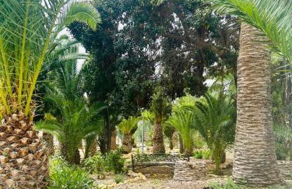 Sol Mediterráneo - Palm Beach 1 - Photo 24