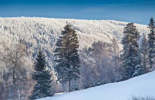 Chatka Bratka - Foto 17