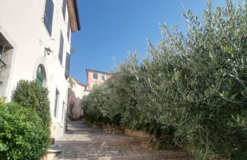 CA'ROSA an Italian experience in the old town - Foto 3