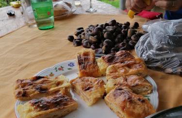 Rural house above the forest - Foto 19