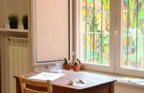 Musa Paradisiaca 6, un angolo tropicale a Torino - Foto 8