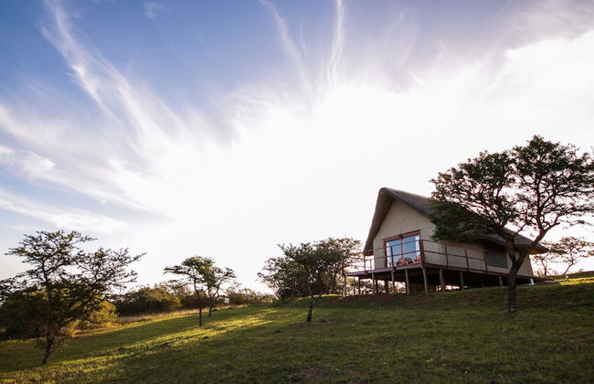 JBay Zebra Lodge - Photo 34