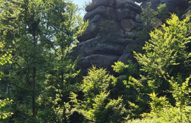 Ferienwohnung für Naturfreunde - Foto 13