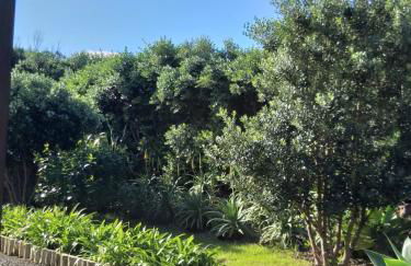 Sítio da Assumada - Foto 36