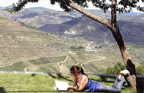 Outstanding Pinhao Villa 4 Bedrooms Villa Gouva Pool Table - Foto 15