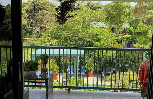 Morning Glory - Foto 1