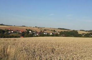 Ferienwohnung Monteurwohnung Pusteblume - Foto 21