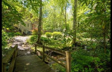 Walk to Sugar Mountain Resort | Cabin | Hot Tub - Foto 76