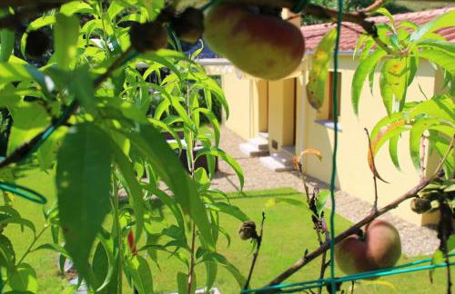 Casa Barulli - Tuscany - Foto 61