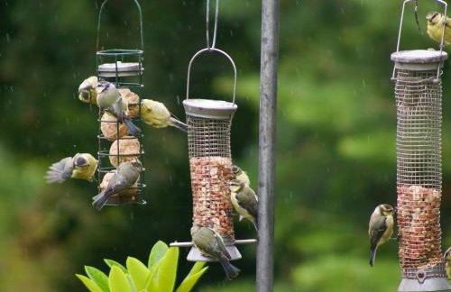 The Cottage - Foto 13