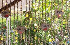 Flat Pico Vulcanico - Foto 19