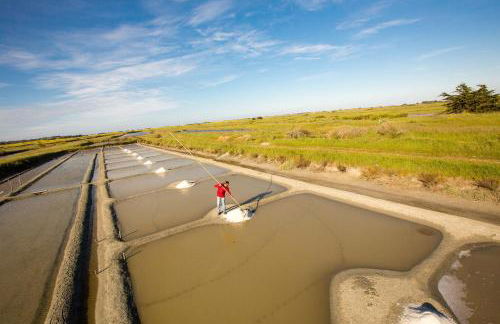 Maison pour 4 - Jardin - 400m plage des Lutins - Foto 22