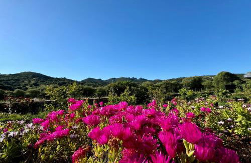 Casa Angelo - Foto 20