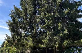 CASAPUEBLO Arzúa - Foto 7