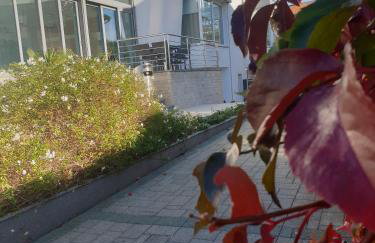 Adrion Aparthotel - Foto 75