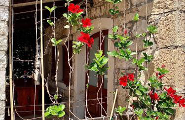 Apartmani Petar Stojnić - Foto 4