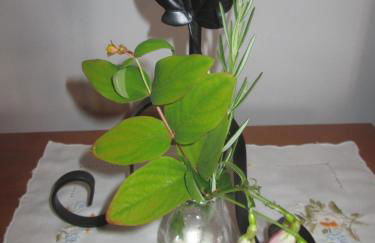 Pêssego - AL - Foto 13