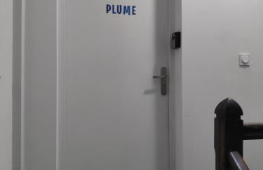 Appartement T3 PLUME Hyper centre d'ERNÉE - Foto 20