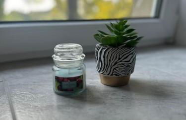 Ferien- Monteurwohnung in Förderstedt, Staßfurt - Foto 8