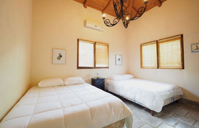 Opera Salvaje N.27 - Foto 4