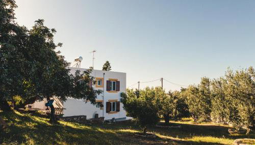 Villa Melivia - Photo 4, Garden view
