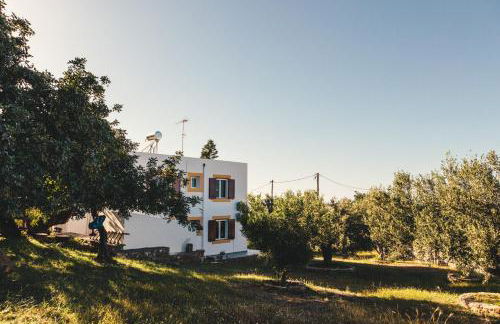 Villa Melivia - Foto 4