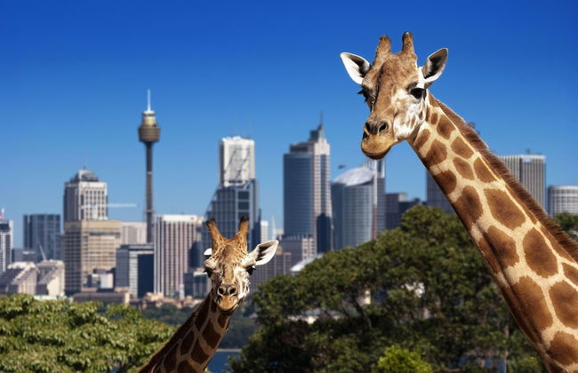 Metro Apartments on Darling Harbour - Sydney - Foto 28