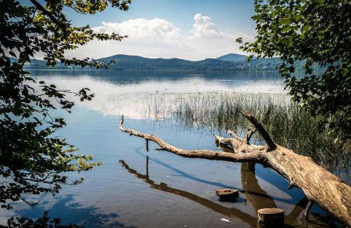 Eifel im Herzen - Foto 30