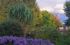 Dom Gościnny Zarembianka - Foto 44