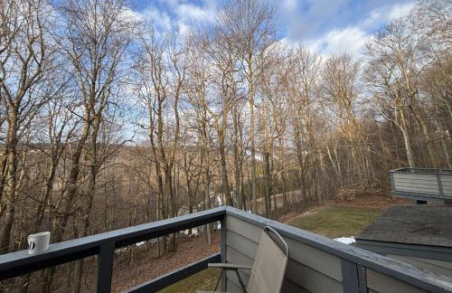 Swiss Mtn Condo 3 Mi to Seven Springs Resort - Photo 27