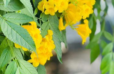 CASA do FLAMINGO - Foto 18