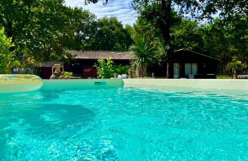 House de la Canopée, Swimming pool, Lake, Forest, large garden and WIFI - Foto 20