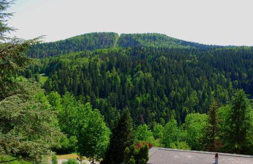 Charmant Appart' du Haut-Jura - Foto 22