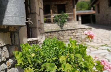 Petrina Theohari - Foto 31