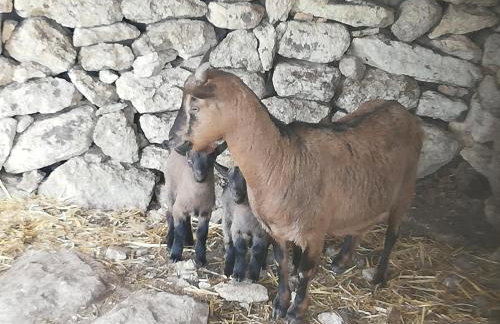 Le Grotte di Sileno - Foto 42