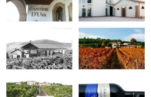 Relais I Dolci Grappoli - Foto 23