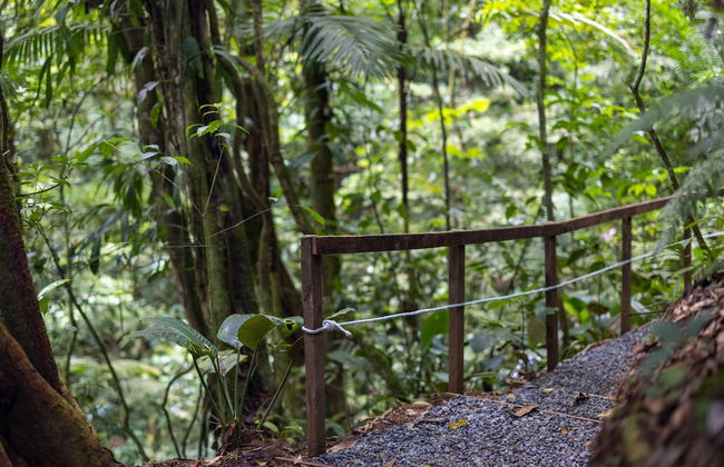 Cabañas Caeli, Peaceful Rainforest Retreat with Stunning Views - Foto 21