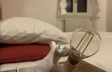 Home SAGM&C - Foto 9