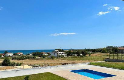 Suites Kombucha - Photo 23